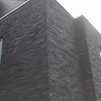 detail verbouwing tot moderne gevel